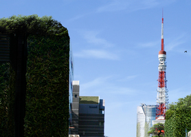 東京タワーや森ビル